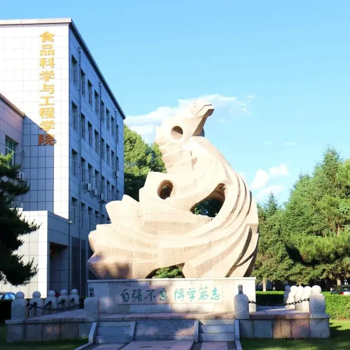 专业篮球运动员推荐的赛事训练计划_1